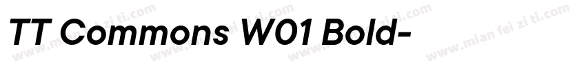 TT Commons W01 Bold字体转换